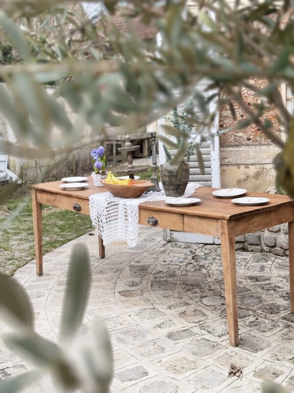 Tropea