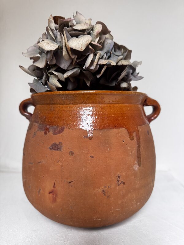 Bandol – Image 3